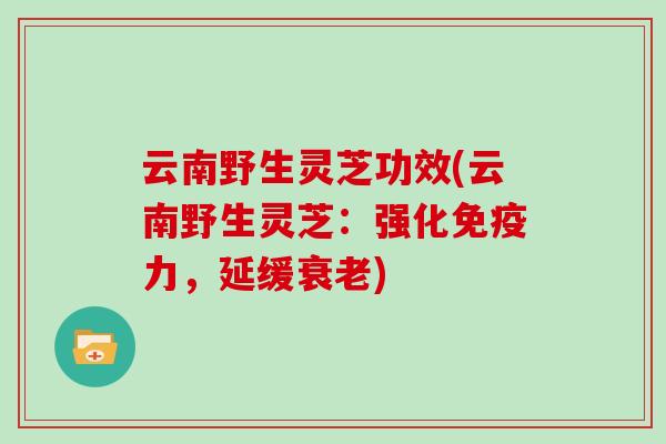 云南野生灵芝功效(云南野生灵芝：强化免疫力，延缓衰老)