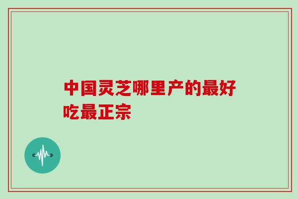 中国灵芝哪里产的最好吃最正宗