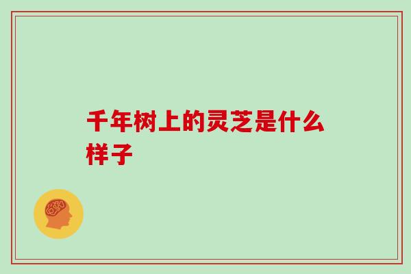 千年树上的灵芝是什么样子