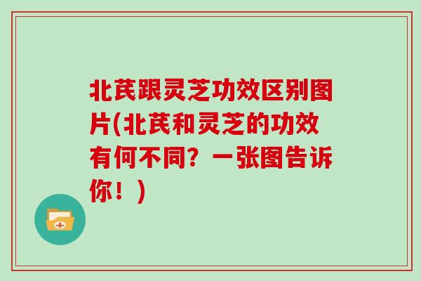 北芪跟灵芝功效区别图片(北芪和灵芝的功效有何不同？一张图告诉你！)
