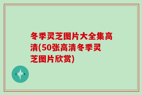 冬季灵芝图片大全集高清(50张高清冬季灵芝图片欣赏)