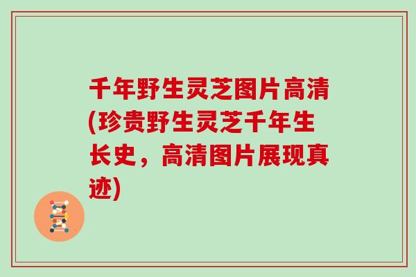 千年野生灵芝图片高清(珍贵野生灵芝千年生长史，高清图片展现真迹)
