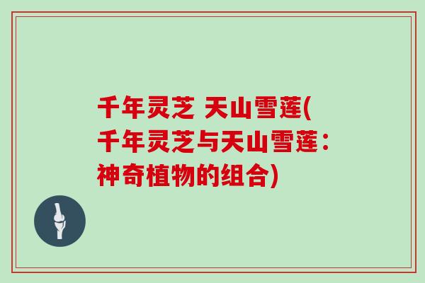 千年灵芝 天山雪莲(千年灵芝与天山雪莲：神奇植物的组合)