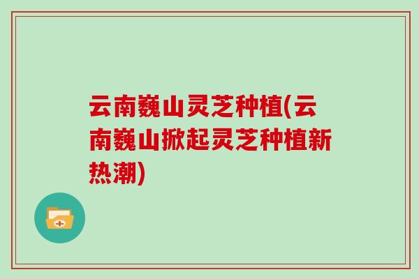 云南巍山灵芝种植(云南巍山掀起灵芝种植新热潮)-第1张图片-灵芝大师 云南巍山灵芝种植(云南巍山掀起灵芝种植新热潮)-第1张图片-灵芝大师