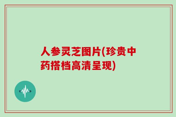 人参灵芝图片(珍贵中药搭档高清呈现)
