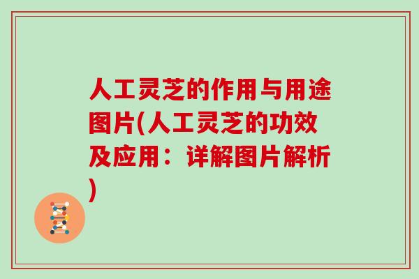 人工灵芝的作用与用途图片(人工灵芝的功效及应用：详解图片解析)