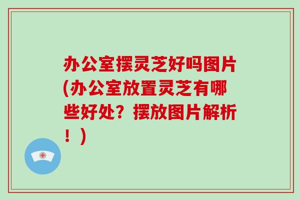 办公室摆灵芝好吗图片(办公室放置灵芝有哪些好处？摆放图片解析！)