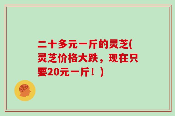 二十多元一斤的灵芝(灵芝价格大跌，现在只要20元一斤！)