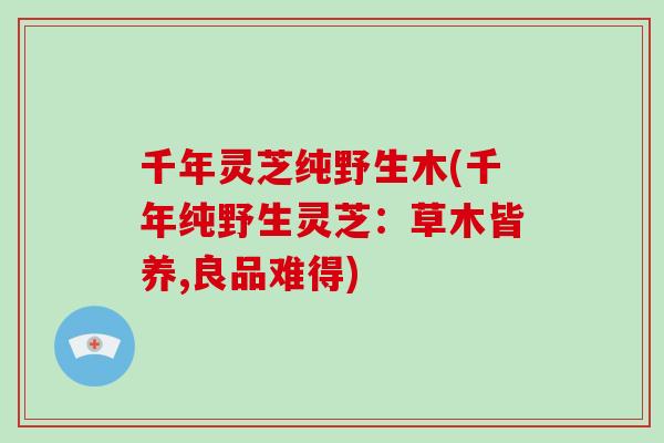 千年灵芝纯野生木(千年纯野生灵芝：草木皆养,良品难得)