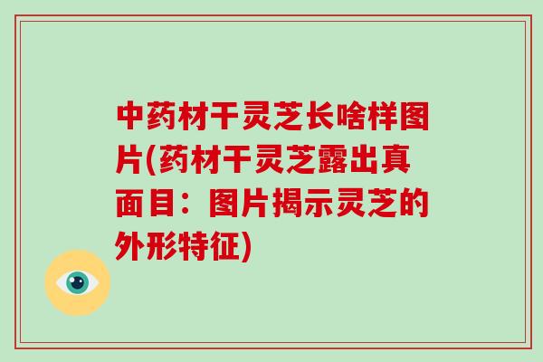 中药材干灵芝长啥样图片(药材干灵芝露出真面目：图片揭示灵芝的外形特征)