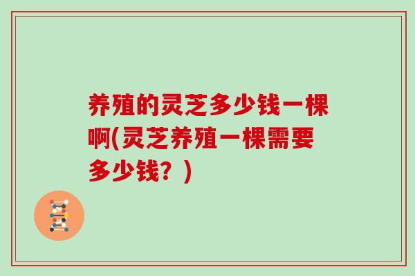 养殖的灵芝多少钱一棵啊(灵芝养殖一棵需要多少钱？)