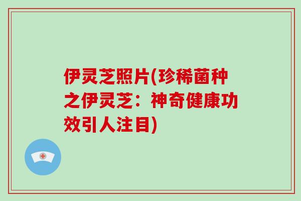 伊灵芝照片(珍稀菌种之伊灵芝：神奇健康功效引人注目)