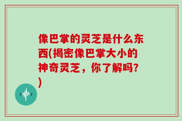 像巴掌的灵芝是什么东西(揭密像巴掌大小的神奇灵芝，你了解吗？)
