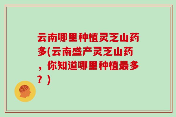 云南哪里种植灵芝山药多(云南盛产灵芝山药，你知道哪里种植最多？)