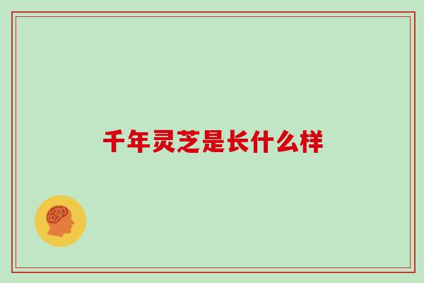 千年灵芝是长什么样