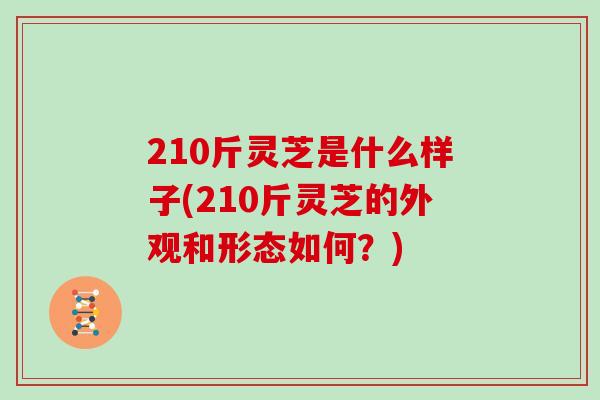 210斤灵芝是什么样子(210斤灵芝的外观和形态如何？)