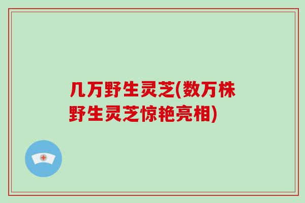几万野生灵芝(数万株野生灵芝惊艳亮相)