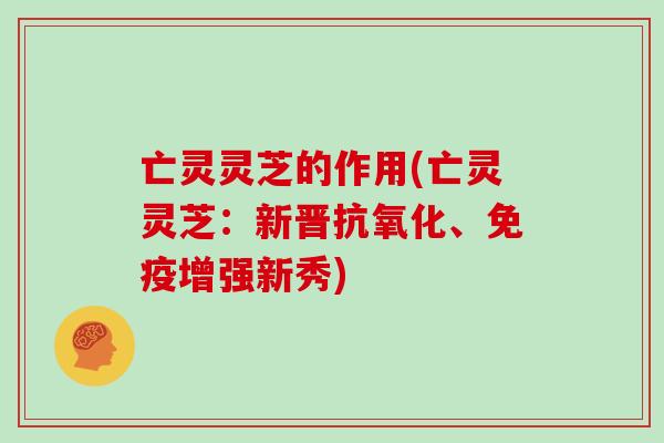 亡灵灵芝的作用(亡灵灵芝：新晋抗氧化、免疫增强新秀)
