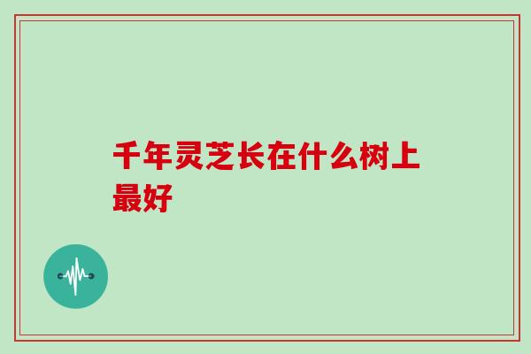千年灵芝长在什么树上最好