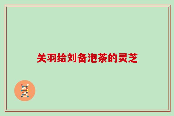 关羽给刘备泡茶的灵芝