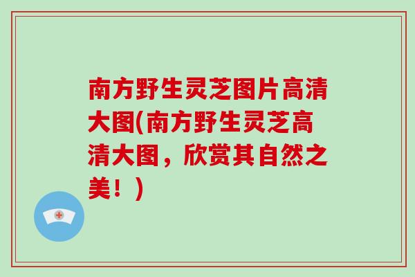 南方野生灵芝图片高清大图(南方野生灵芝高清大图，欣赏其自然之美！)