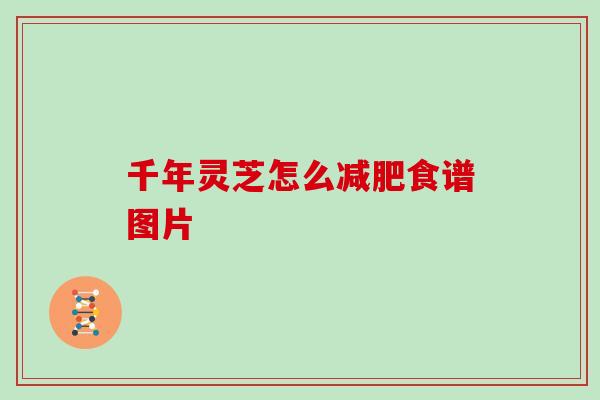 千年灵芝怎么减肥食谱图片
