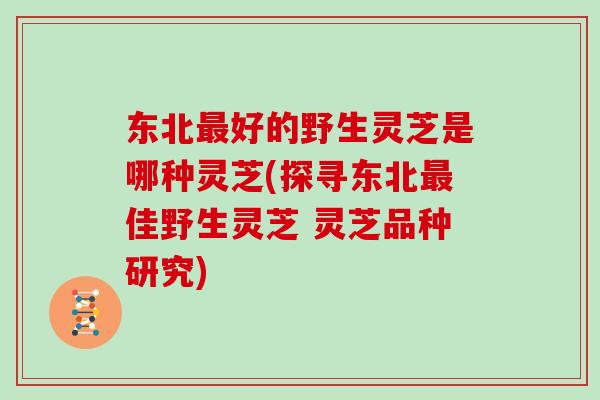 东北最好的野生灵芝是哪种灵芝(探寻东北最佳野生灵芝 灵芝品种研究)