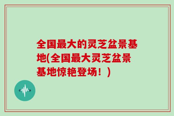 全国最大的灵芝盆景基地(全国最大灵芝盆景基地惊艳登场！)