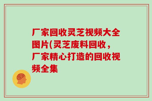 厂家回收灵芝视频大全图片(灵芝废料回收，厂家精心打造的回收视频全集