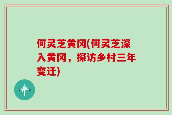 何灵芝黄冈(何灵芝深入黄冈，探访乡村三年变迁)