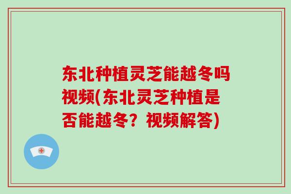 东北种植灵芝能越冬吗视频(东北灵芝种植是否能越冬?视频解答)-第1张图片-灵芝大师 东北种植灵芝能越冬吗视频(东北灵芝种植是否能越冬?视频解答)-第1张图片-灵芝大师