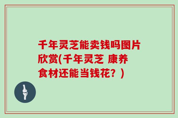 千年灵芝能卖钱吗图片欣赏(千年灵芝 康养食材还能当钱花？)