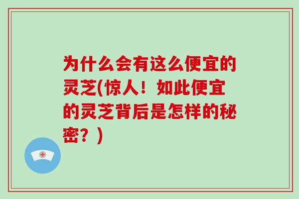 为什么会有这么便宜的灵芝(惊人！如此便宜的灵芝背后是怎样的秘密？)