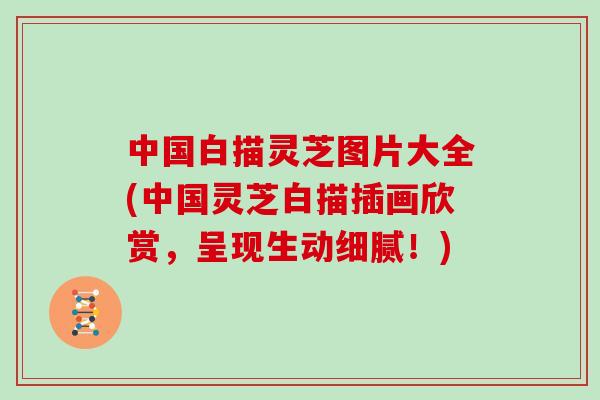 中国白描灵芝图片大全(中国灵芝白描插画欣赏，呈现生动细腻！)