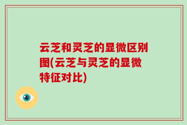 云芝和灵芝的显微区别图(云芝与灵芝的显微特征对比)