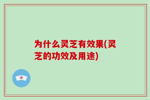 为什么灵芝有效果(灵芝的功效及用途)