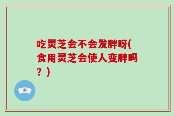 吃灵芝会不会发胖呀(食用灵芝会使人变胖吗？)