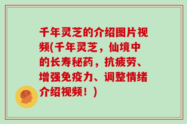 千年灵芝的介绍图片视频(千年灵芝，仙境中的长寿秘药，抗疲劳、增强免疫力、调整情绪介绍视频！)