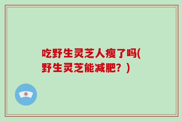 吃野生灵芝人瘦了吗(野生灵芝能减肥?)-第1张图片-灵芝大师 吃野生灵芝人瘦了吗(野生灵芝能减肥?)-第1张图片-灵芝大师