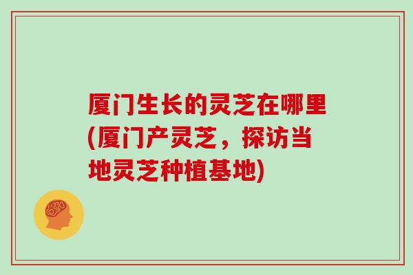 厦门生长的灵芝在哪里(厦门产灵芝，探访当地灵芝种植基地)