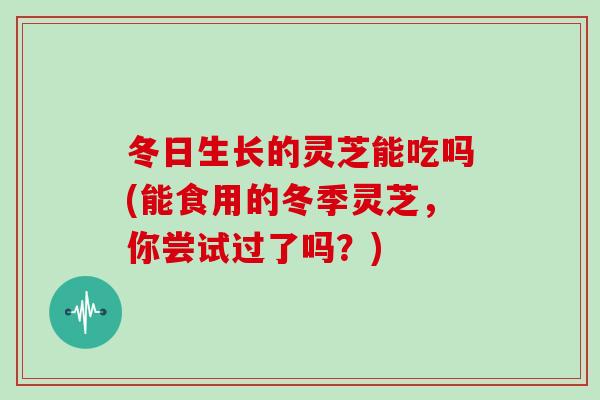 冬日生长的灵芝能吃吗(能食用的冬季灵芝,你尝试过了吗?)-第1张图片-灵芝大师 冬日生长的灵芝能吃吗(能食用的冬季灵芝,你尝试过了吗?)-第1张图片-灵芝大师