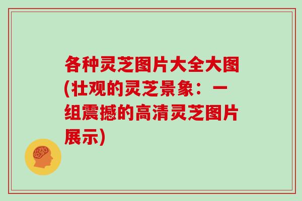 各种灵芝图片大全大图(壮观的灵芝景象：一组震撼的高清灵芝图片展示)