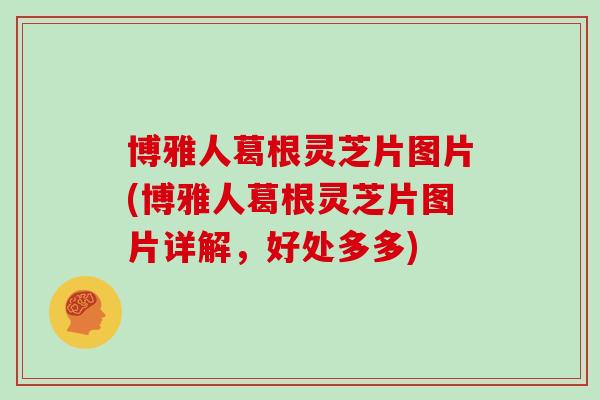 博雅人葛根灵芝片图片(博雅人葛根灵芝片图片详解，好处多多)