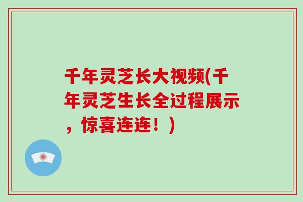千年灵芝长大视频(千年灵芝生长全过程展示,惊喜连连!)-第1张图片-灵芝大师 千年灵芝长大视频(千年灵芝生长全过程展示,惊喜连连!)-第1张图片-灵芝大师