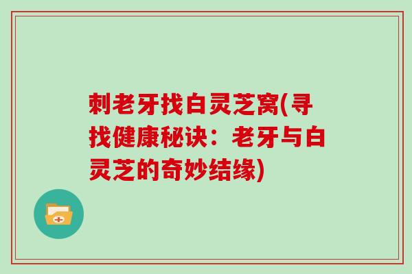 刺老牙找白灵芝窝(寻找健康秘诀：老牙与白灵芝的奇妙结缘)
