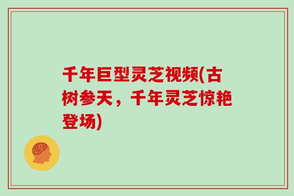 千年巨型灵芝视频(古树参天，千年灵芝惊艳登场)