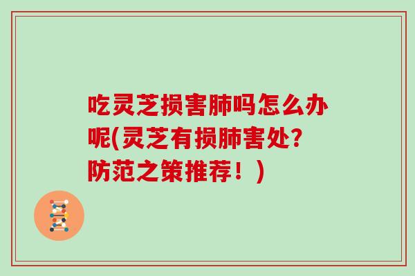 吃灵芝损害肺吗怎么办呢(灵芝有损肺害处？防范之策推荐！)