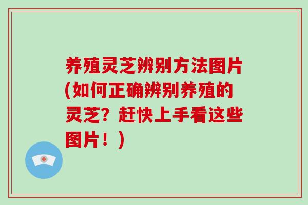 养殖灵芝辨别方法图片(如何正确辨别养殖的灵芝？赶快上手看这些图片！)