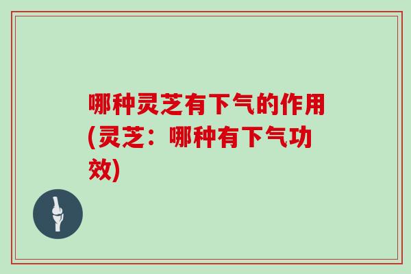哪种灵芝有下气的作用(灵芝：哪种有下气功效)