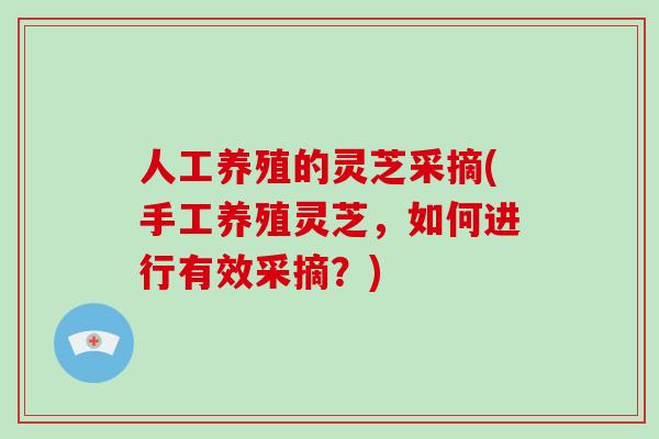 人工养殖的灵芝采摘(手工养殖灵芝，如何进行有效采摘？)